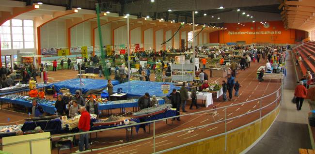 Blick in die Niederlausitzhalle